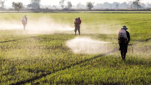 States v. Monsanto: 6 Legal Battles that Shook Big Ag