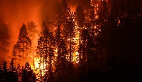 ClassAction.com Pursuing NorCal Wildfire Lawsuits