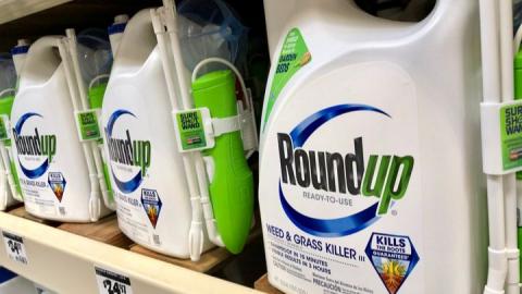 Roundup Cancer Lawsuits: Year in Review